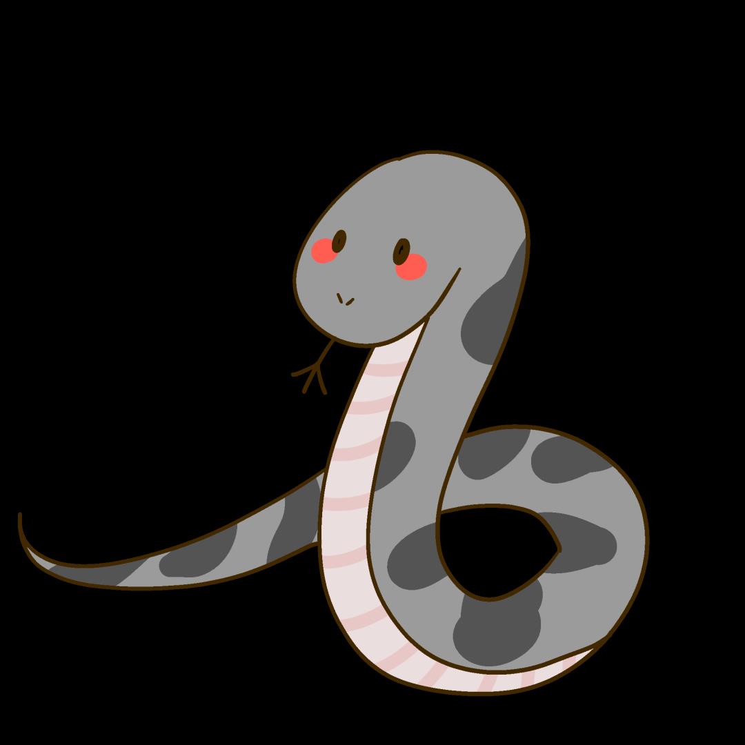 DƬ